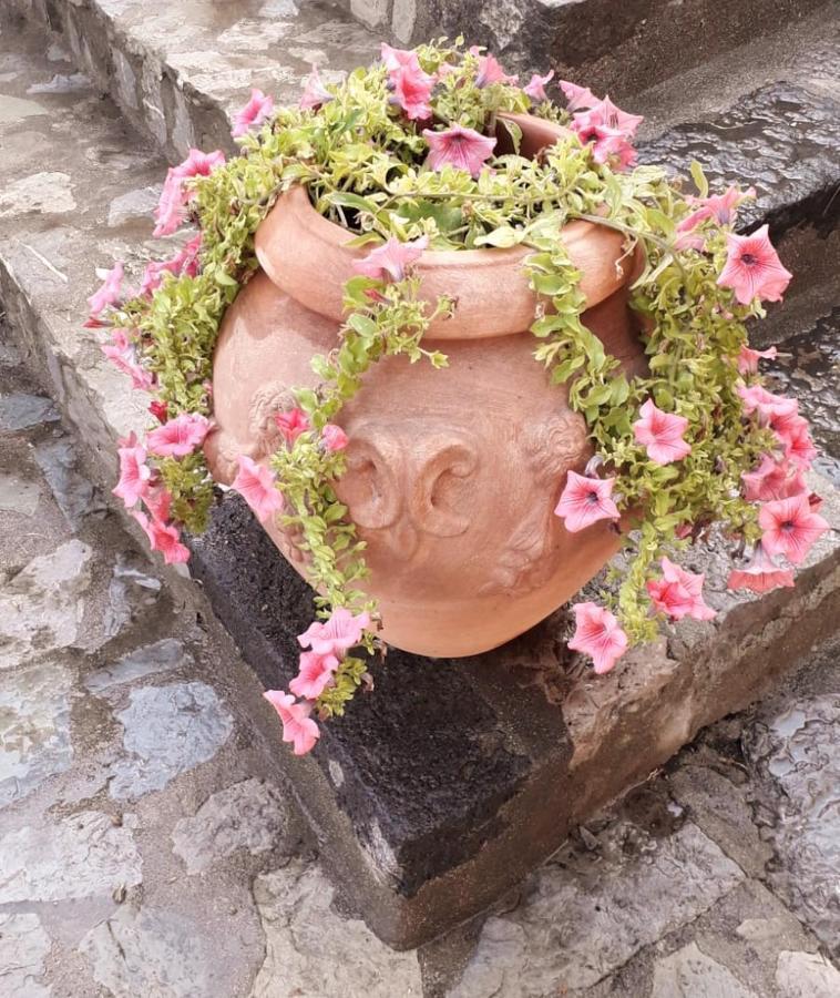 La Sciuscella Villa Conca dei Marini Buitenkant foto