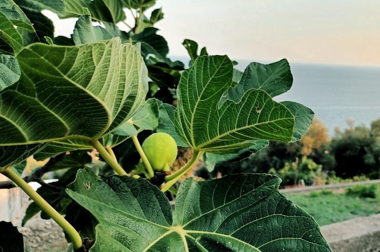 La Sciuscella Villa Conca dei Marini Buitenkant foto